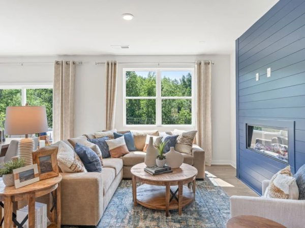 laruchephoto---centurycomm---model-home---2829-bullfrod-lane---gainesville-6