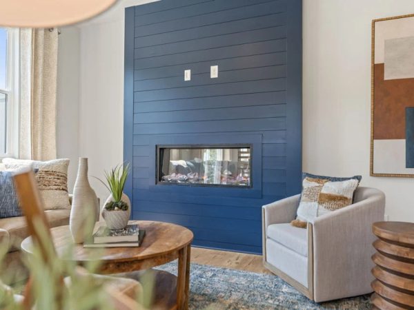 laruchephoto---centurycomm---model-home---2829-bullfrod-lane---gainesville-8