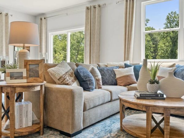 laruchephoto---centurycomm---model-home---2829-bullfrod-lane---gainesville-9